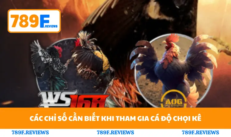 Các chỉ số cần biết khi tham gia cá độ chọi kê