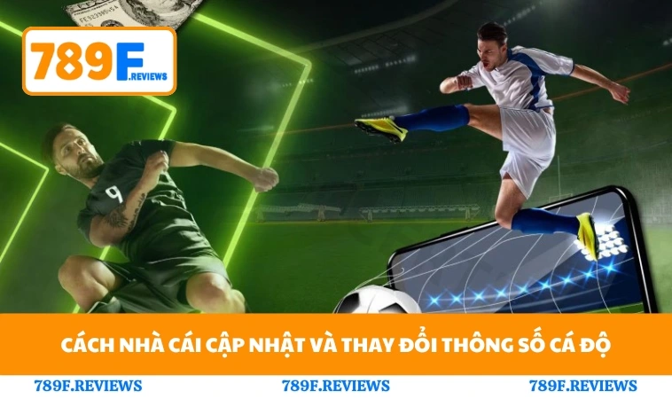 Cách nhà cái cập nhật và thay đổi thông số cá độ