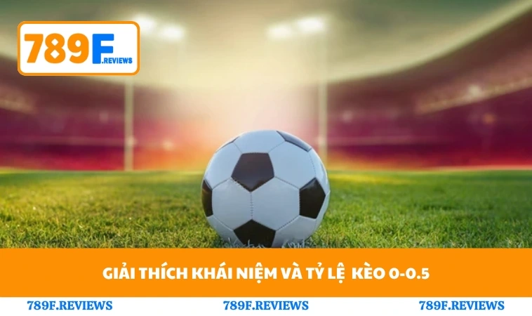 Giải thích khái niệm và tỷ lệ  kèo 0-0.5