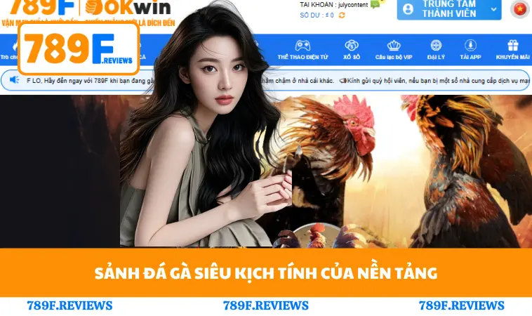 Sảnh đá gà siêu kịch tính của nền tảng